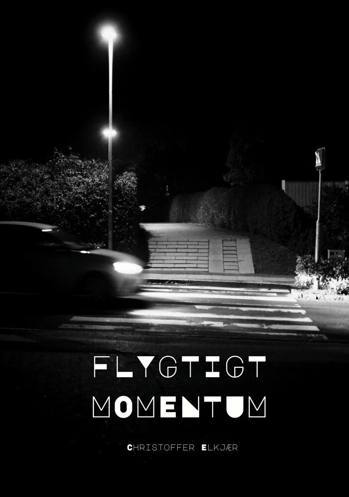 Flygtigt Momentum bogcover
